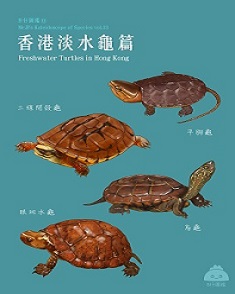 香港淡水龜篇