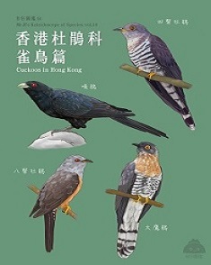 香港杜鵑科雀鳥篇