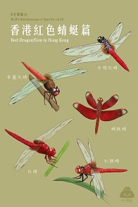 香港紅色蜻蜓篇