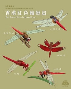 香港紅色蜻蜓種篇