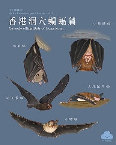 香港洞穴蝙蝠篇
