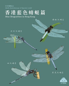 香港藍色蜻蜓種篇