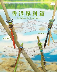 香港蜓科篇