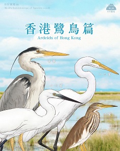 香港鷺鳥篇