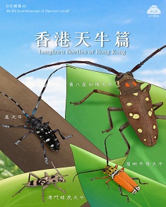 香港天牛篇
