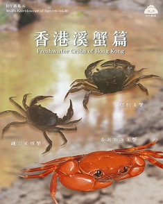 香港溪蟹篇