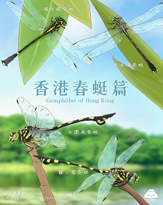 香港春蜓篇