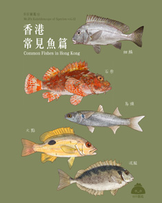 香港常見魚篇