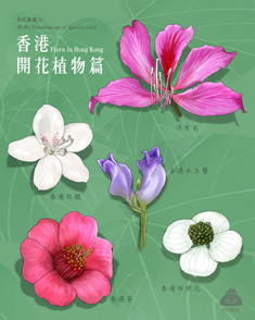 香港開花植物篇