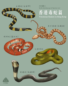 香港毒蛇篇
