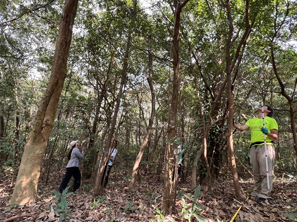 我们的团队在进行野外普查