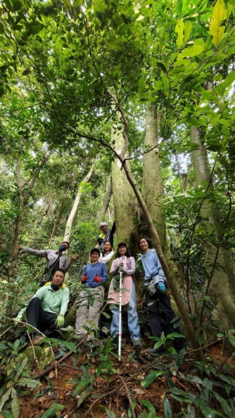 The research team is conducting field survey in a Fung Shui Wood