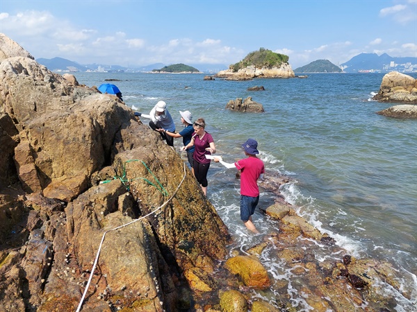 研究團隊在坪洲、西灣、大澳和榕樹凹進生態調查