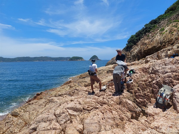 研究團隊在坪洲、西灣、大澳和榕樹凹進生態調查