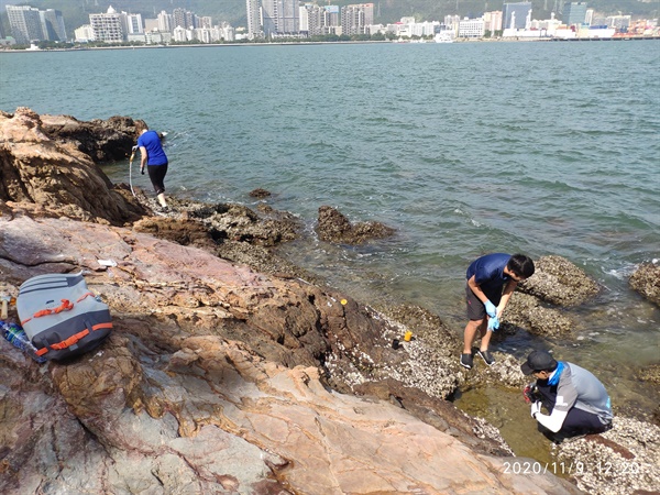 研究團隊在坪洲、西灣、大澳和榕樹凹進生態調查