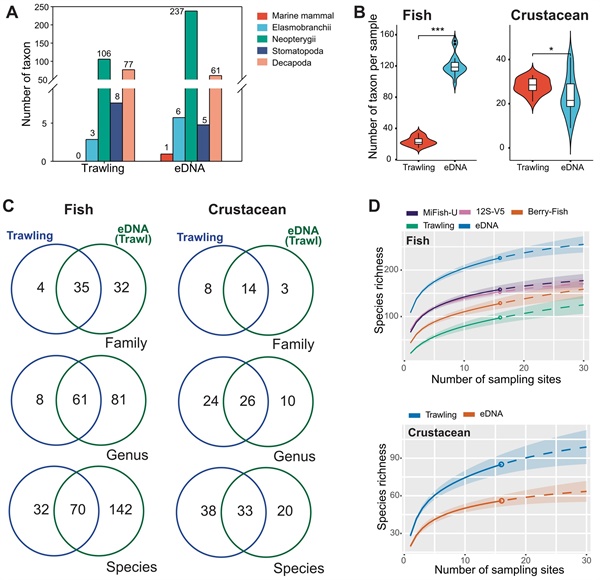 比較拖網與環境DNA在海洋物種檢出上的差異：柱狀圖與小提琴圖顯示數量與差異；維恩圖呈現各組重疊；物種累積曲線估算隨樣本增加的物種發現量