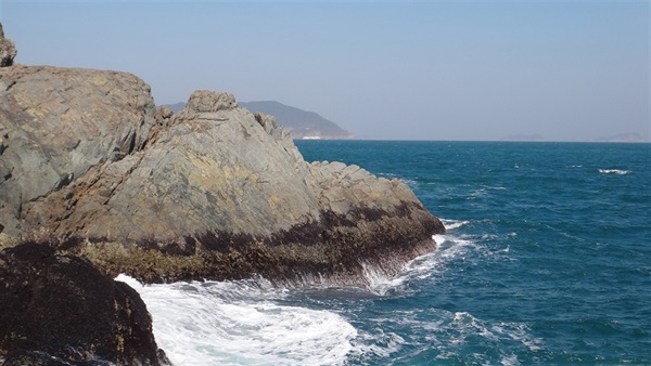 Diverse natural habitats contribute to the rich biodiversity in Hong Kong. The figure shows the rocky shore at Cape d' Aguilar in winter.